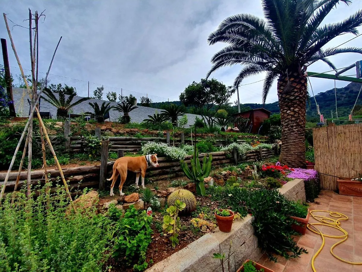 Apartmán Villetta Rosa Dei Venti Porto Azzurro Itálie